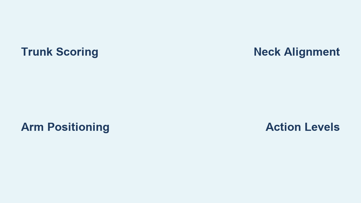 Reba in Ergonomics: Quick Assessment Guide